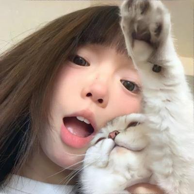 完美伴侣2025